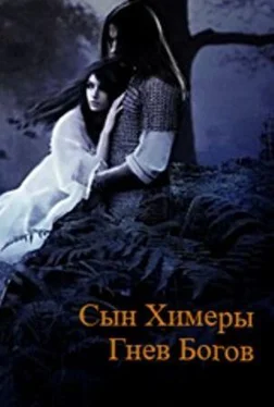 Владислав Верницкий Сын Химеры. Гнев богов (СИ) обложка книги