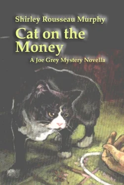 Shirley Murphy Cat on the Money обложка книги