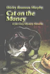 Shirley Murphy - Cat on the Money