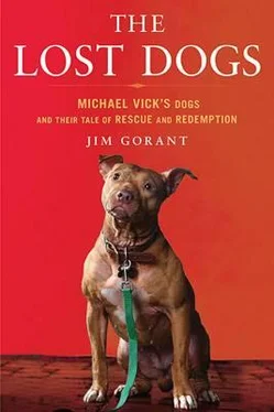 Jim Gorant The Lost Dogs: Michael Vick's Dogs and Their Tale of Rescue and Redemption