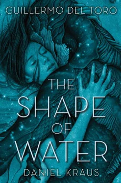 Guillermo del Toro The Shape of Water