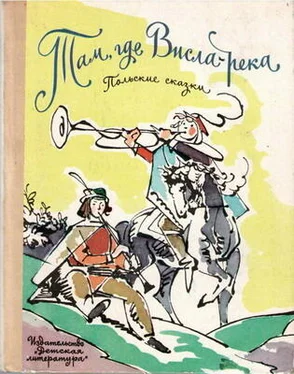 Юзеф Крашевский Там, где Висла-река (польские сказки) обложка книги