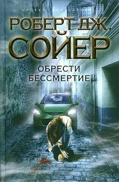 Роберт Сойер Обрести бессмертие обложка книги