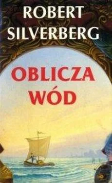 Robert Silverberg Oblicza Wód обложка книги