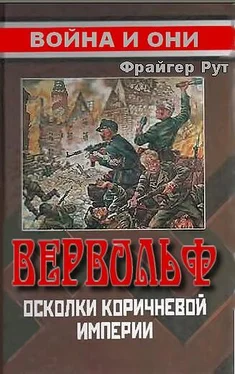 Фрайгер Рут Вервольф. Осколки коричневой империи обложка книги