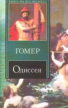 Гомер Одиссея (пер. В.А. Жуковского) обложка книги