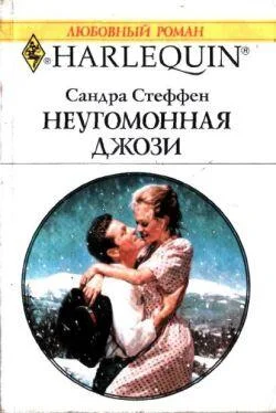 Сандра Стеффен Неугомонная Джози обложка книги