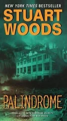 Stuart Woods - Palindrome