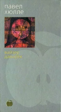 Павел Хюлле Вайзер Давидек обложка книги