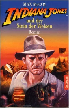Макс МакКой Indiana Jones und der Stein der Weisen