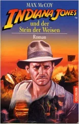 Макс МакКой - Indiana Jones und der Stein der Weisen