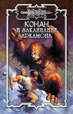 Дуглас Брайан Стигийские маги обложка книги