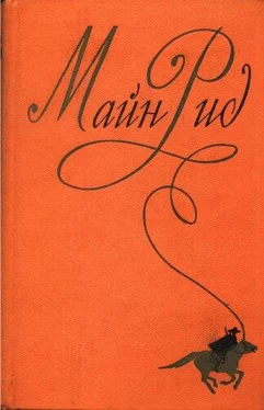 Томас Рид Собрание сочинений, том 6. Мароны. Всадник без головы. обложка книги