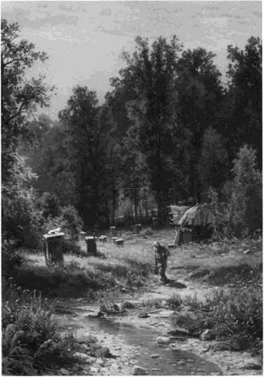 Пасека в лесу И И Шишкин 1876 г Ведьма И Я Билибин 1906 г - фото 10