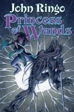 John Ringo Princess of Wands обложка книги