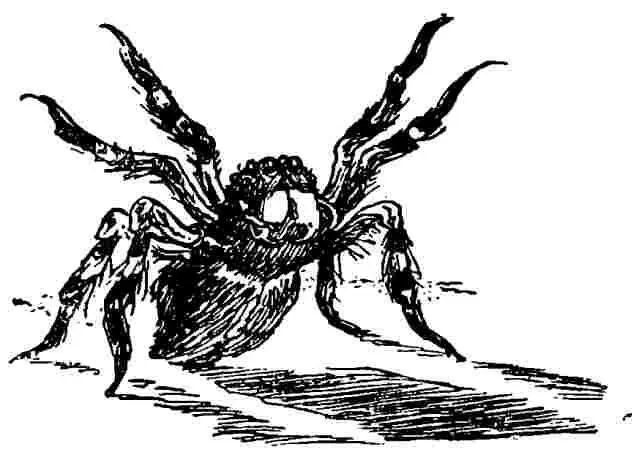 Era o seară liniștită și plăcută Tarantula își scosese copiii la plimbare Îi - фото 9