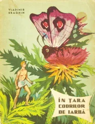 Vladimir Braghin - In Tara Codrilor de Iarba