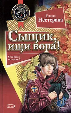 Елена Нестерина Сыщик, ищи вора! обложка книги