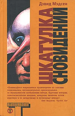 Дэвид Мэдсен Шкатулка сновидений обложка книги