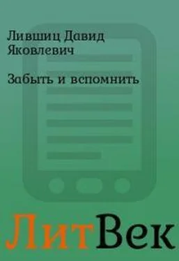 Давид Лившиц Забыть и вспомнить обложка книги