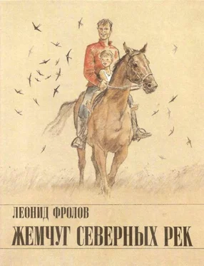 Леонид Фролов Жемчуг северных рек [Рассказы и повесть] обложка книги