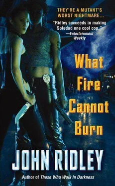 John Ridley What Fire Cannot Burn обложка книги