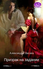 Александра Лисина - Призрак на задании