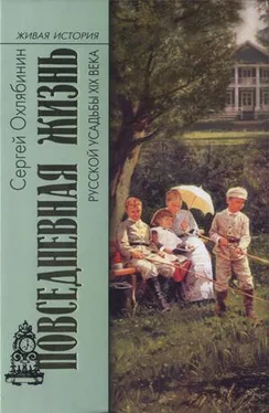 Сергей Охлябинин Повседневная жизнь русской усадьбы XIX века обложка книги