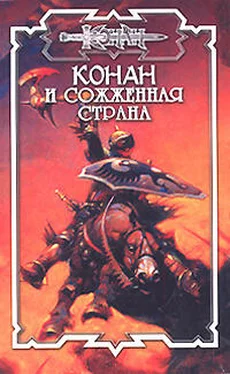 Лилиан Трэвис Сожжённая страна обложка книги