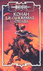 Лилиан Трэвис - Сожжённая страна
