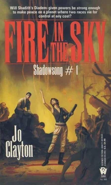 Jo Clayton Fire in the Sky обложка книги