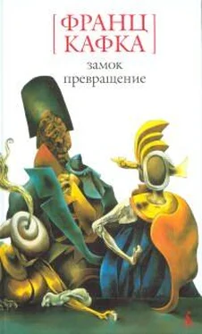 Франц Кафка Свадебные приготовления в деревне обложка книги