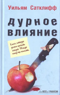 Уильям Сатклифф Дурное влияние обложка книги