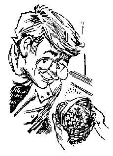 And Alice offered me the basket of wild strawberries She raised the basket - фото 9