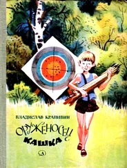 Владислав Крапивин - Оруженосец Кашка. Повесть