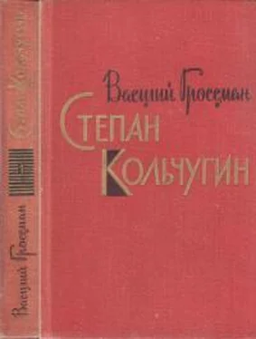 Василий Гроссман Степан Кольчугин. Книга первая обложка книги