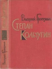 Василий Гроссман - Степан Кольчугин. Книга первая