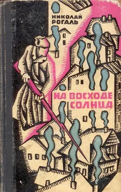Николай Рогаль На восходе солнца обложка книги