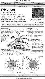 Page 27 of A Field Guide to Henders Island by Geoffrey BinswangerDuckworth - фото 10