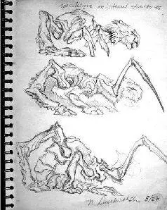 Preliminary sketches of a spiger by Nell Duckworth on board Trident August - фото 14