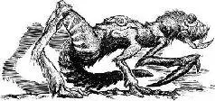 Henders Rat Rodentocaris hendersi after Echevarria et al Proceedings of the - фото 3
