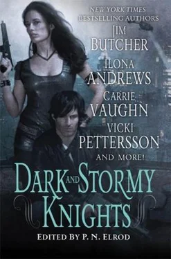 Ilona Andrews Dark and Stormy Knights обложка книги