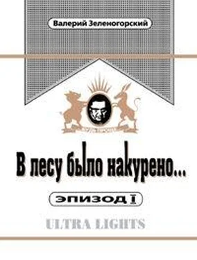 Валерий Зеленогорский В лесу было накурено Эпизод 1 обложка книги