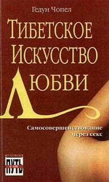 Гедун Чопел Тибетское искусство любви обложка книги