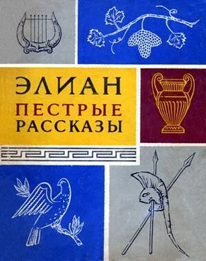 Клавдий Элиан Пестрые рассказы обложка книги