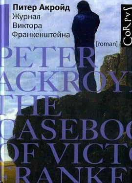 Питер Акройд Журнал Виктора Франкенштейна обложка книги