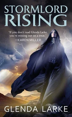 Glenda Larke Stormlord rising обложка книги