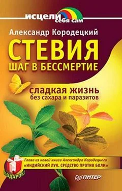 Александр Кородецкий Стевия — шаг в бессмертие обложка книги