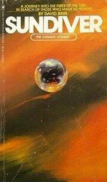 David Brin Sundiver обложка книги