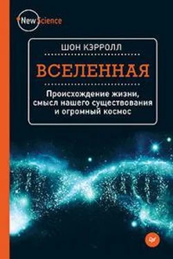 Шон Кэрролл Вселенная обложка книги